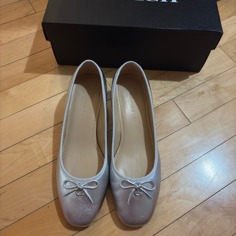 Coach Ava Ballet Pump Silver